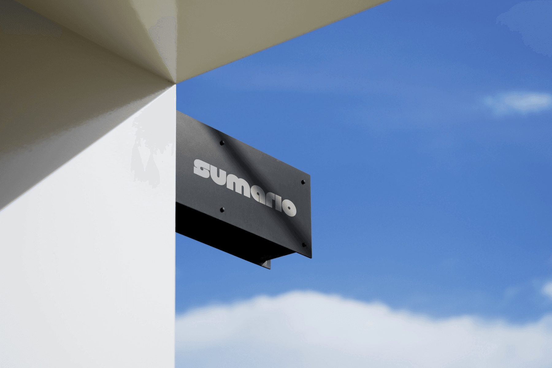 Sumario AI project image 1