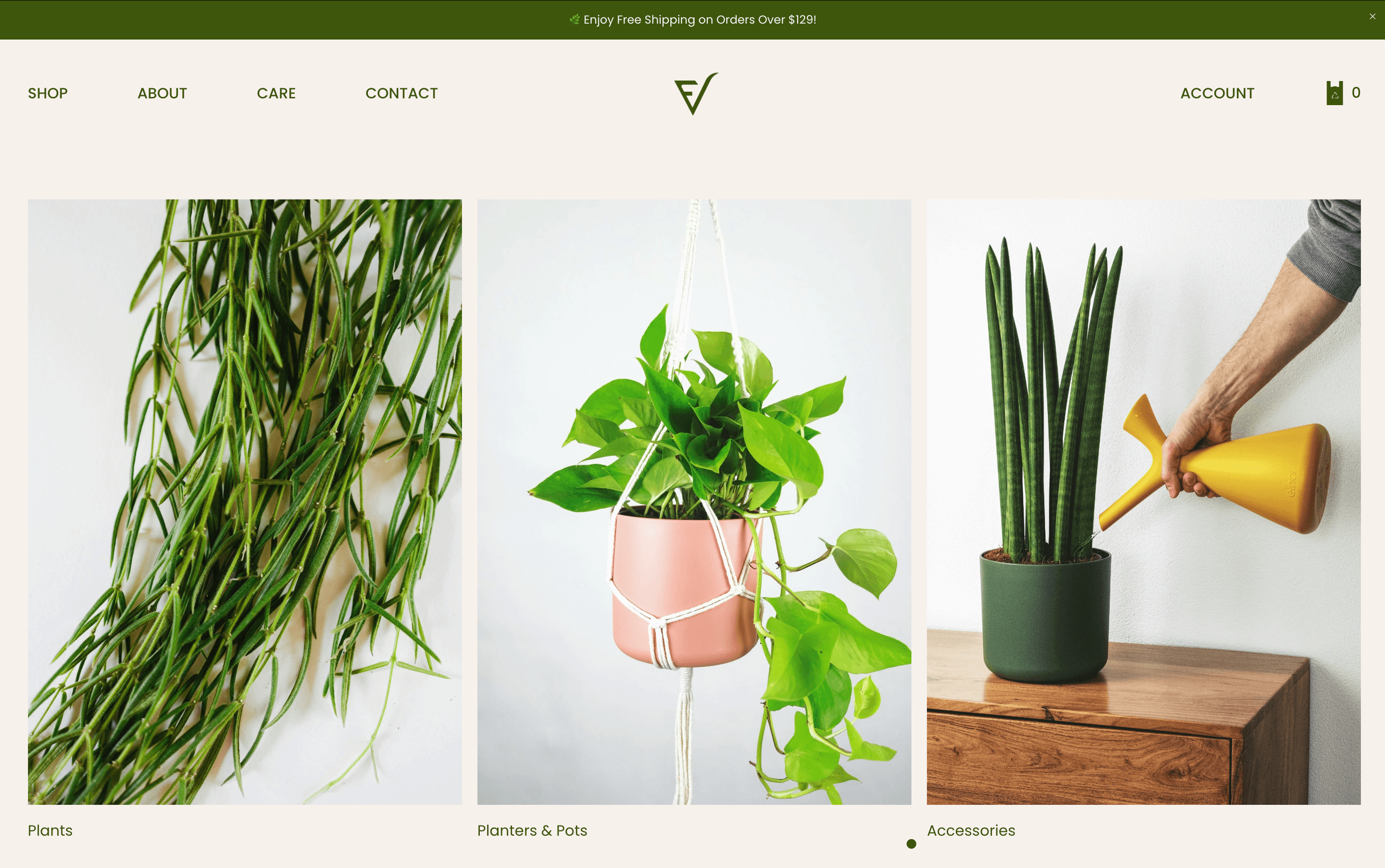 Foliage & Vine project image 2