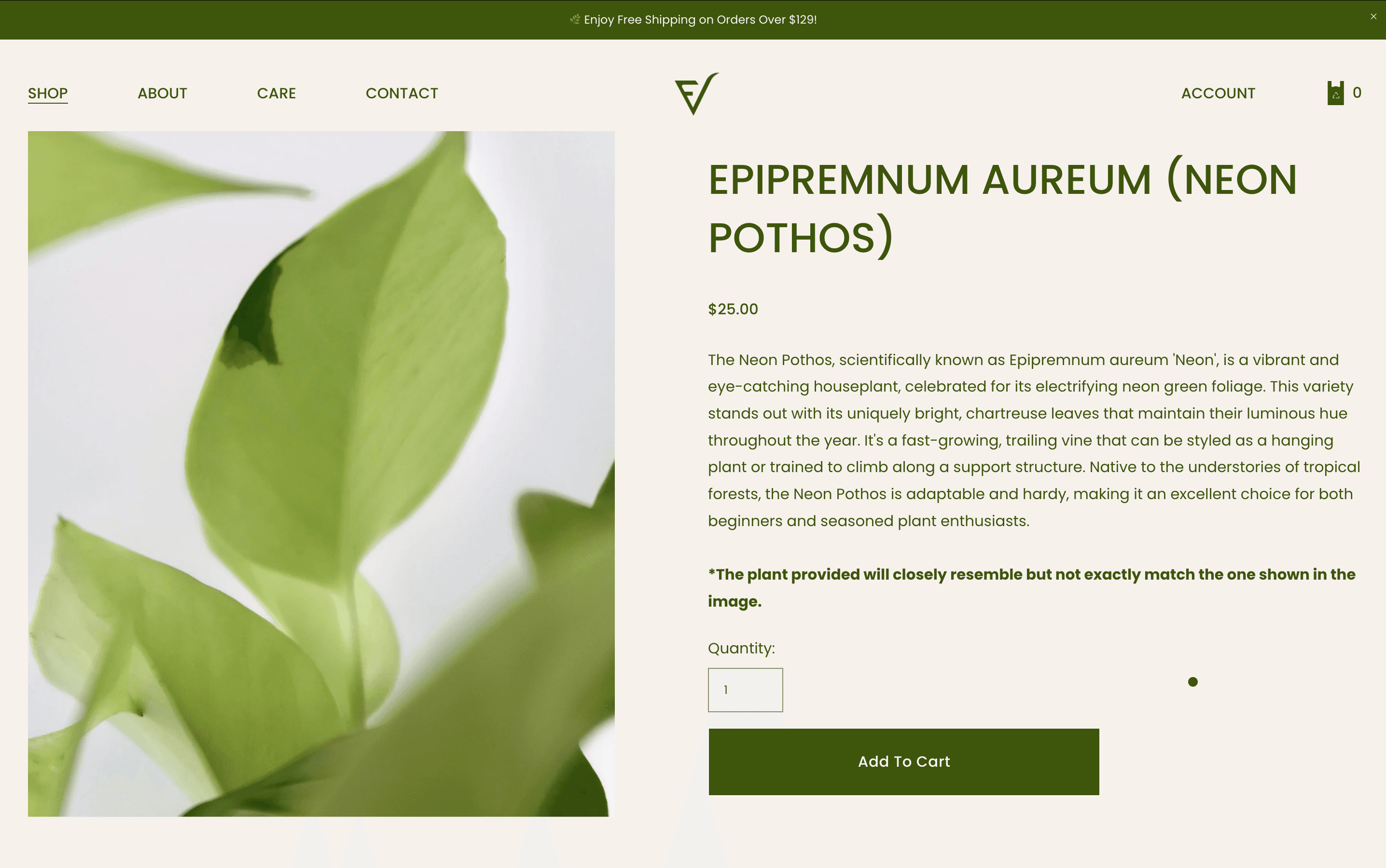 Foliage & Vine project image 3